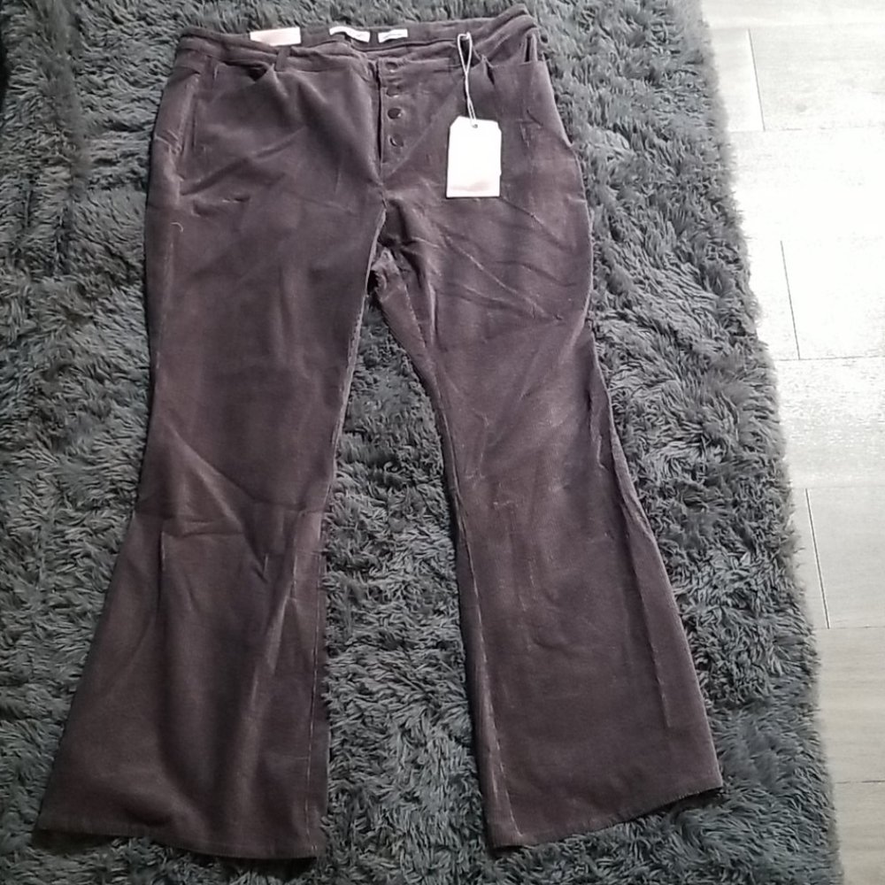 Hi Rise Cord Flares
